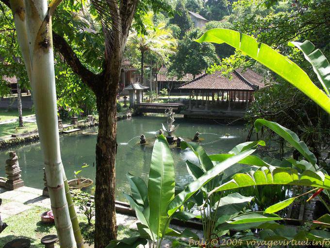 Bacino tempio di Pura Gunung Kawi - Bali