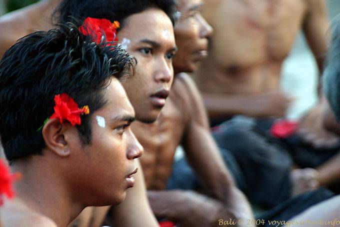 I giovani fiori di ibisco Uluwatu Kecak danza - Bali
