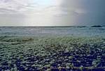 Campo Scum, Quiberon, Bretagna, Francia.