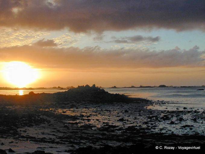 Sole Breton Perharidy, Roscoff, Bretagna - Francia