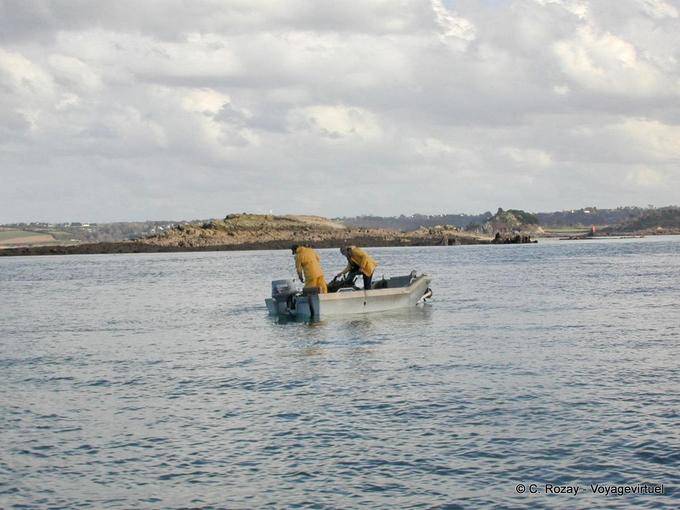 Una pesca nella baia di Morlaix, in Bretagna - Francia