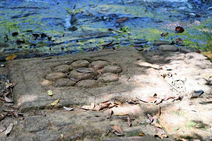 Pietra Fiore, sito Kbal Spean, Angkor, Cambogia