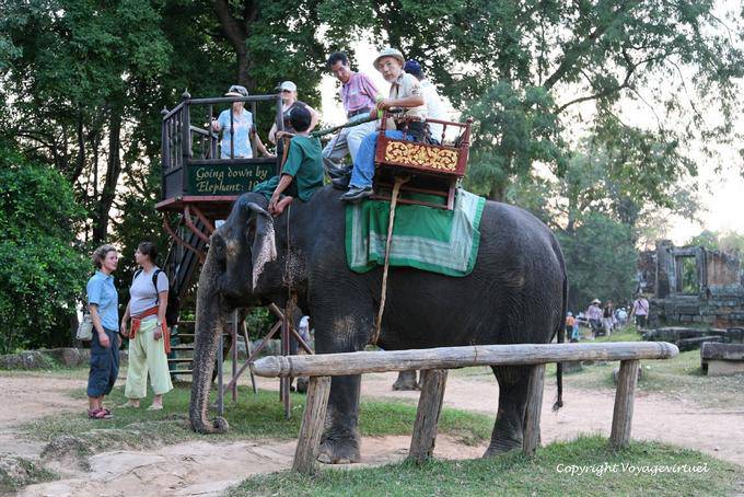Turisti su elefante Phnom Bakheng, Angkor, Cambogia