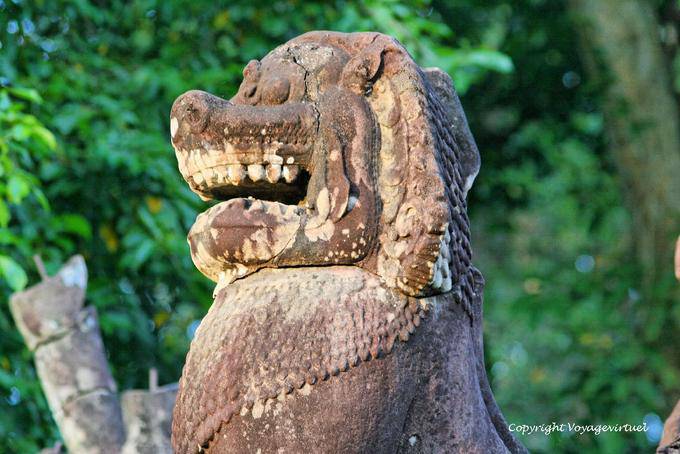 I denti di leone, Preah Khan, Angkor, Cambogia