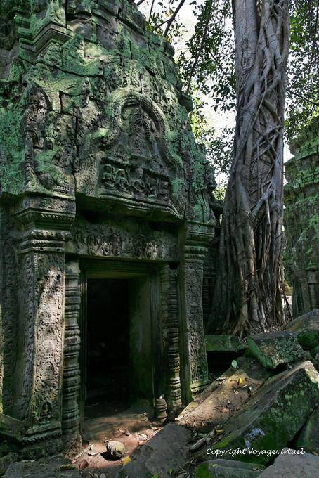 Frontone di una porta, Ta Prohm, Angkor, Cambogia