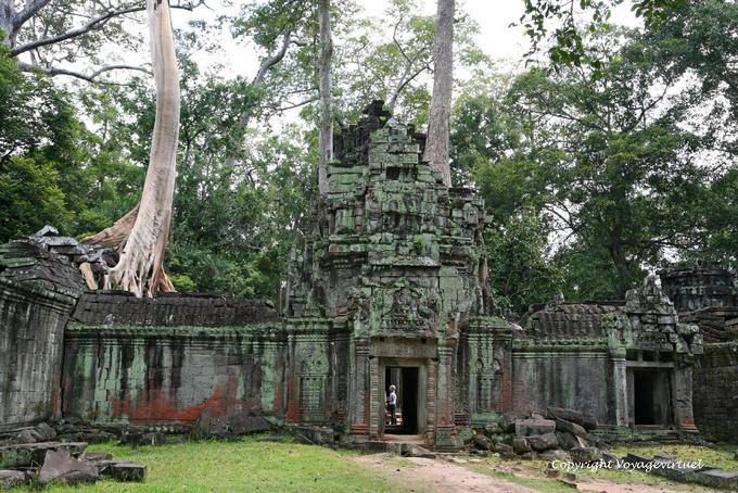 Gopura Porta, Ta Prohm, Angkor, Cambogia
