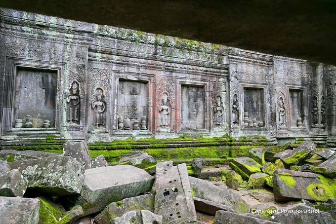 Invasione di schiuma, Ta Prohm, Angkor, Cambogia