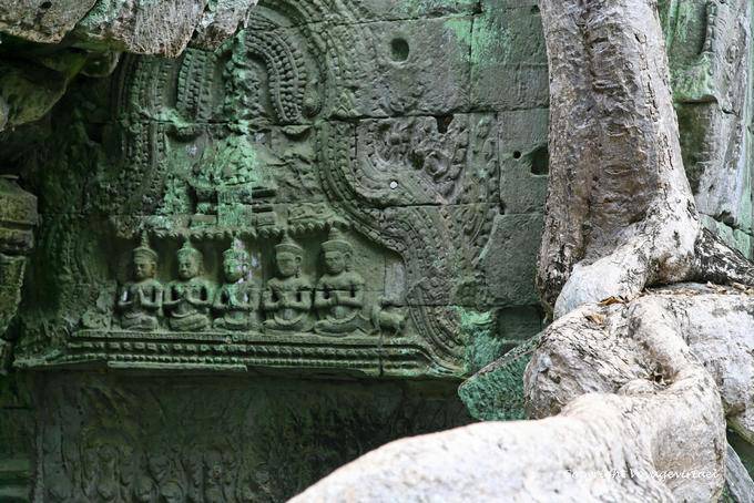 Dettaglio buddista, Ta Prohm, Angkor, Cambogia