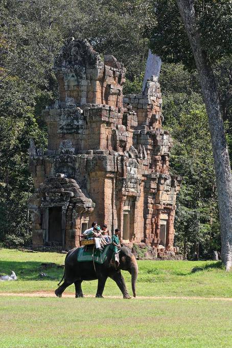 Elefante sulla spianata della Place du Palais Royal, Angkor Thom, Angkor, Cambogia