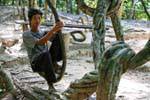 Kbal Spean, Altalena Natural, Cambogia.