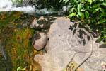 Carving torrent, siti Kbal Spean, Cambogia.