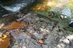 Kbal Spean, Fiume con linga, Cambogia.