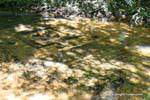 Kbal Spean, Trasparenza in torrente, Cambogia.