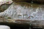 Kbal Spean montato a cavallo scolpito sulla roccia, Cambogia.