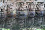 Riflessione nel fossato, Preah Khan, Cambogia.