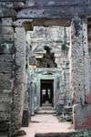 Nella complessa rete di strutture, Preah Khan, Cambogia.