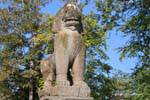 Guardia Leone, Srah Srang, Cambogia.