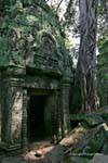 Frontone di una porta, Ta Prohm, Cambogia.