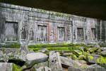 Invasione di schiuma, Ta Prohm, Cambogia.