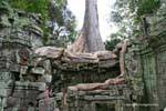 Invasion radicale, Ta Phrom, Cambogia.