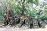 Miscela di rovine e alberi intrecciati radici, Prasat Thom Manon, Cambogia.