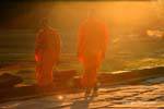 Monaci che camminano nel tramonto, Angkor Wat, Cambogia.