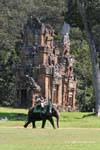 Elefante sulla spianata della Place du Palais Royal, Angkor Thom, Cambogia.