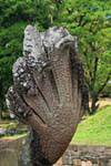 Naga con più teste, Terrazza del Re lebbroso, Angkor Thom, Cambogia.
