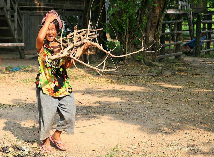 Ridi del legno che trasportano cambogiana, Roka Kandal Kracheh (Kratie) - Cambogia