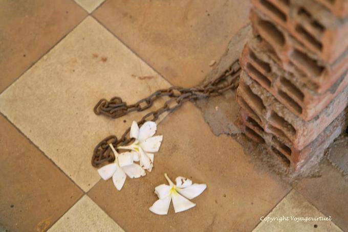 Fiori sulle catene, Genocidio Museo Khmer, Phnom Penh - Cambogia