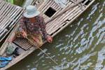 Pesca Donna da una barca, Chlong, Cambogia.
