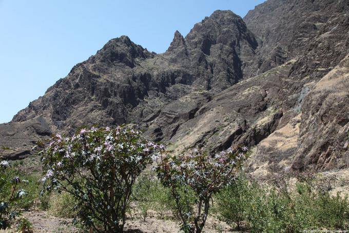 Fogo, Chã das Caldeiras paesaggio che scorre - Capo Verde