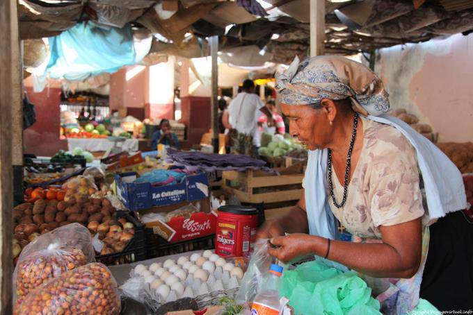 Fogo, Sao mercato Filipe, uovo femminile - Capo Verde