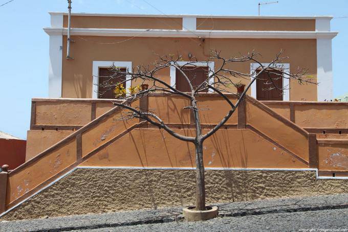 Fogo, São Filipe, albero grafiche - Capo Verde
