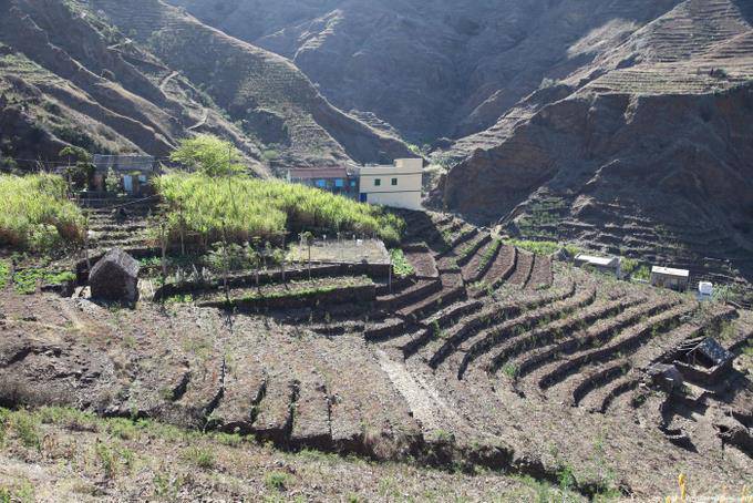 Santo Antão, boca Coruja Ambas, terrazzamenti - Capo Verde