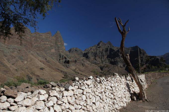 Santo Antão, Cha de Igreja, muro e albero morto - Capo Verde