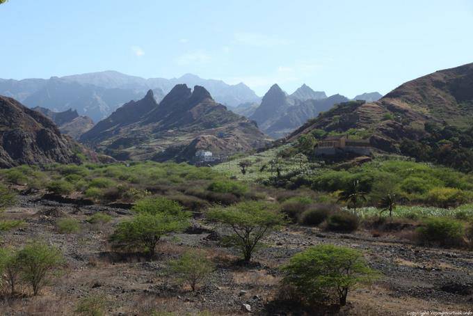 Santo Antão, Cocculi - Capo Verde