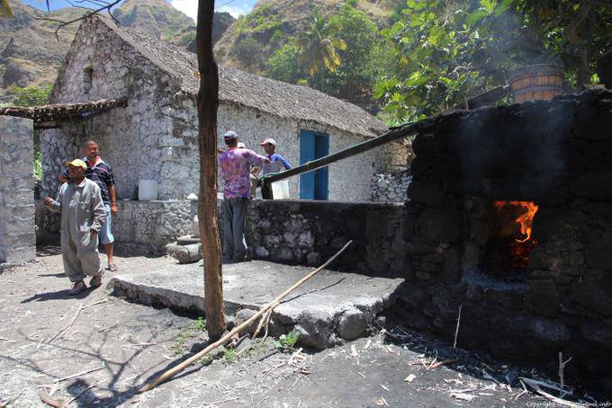 Groguerie locale, Santo Antão, Lombo Pico Xoxo - Capo Verde