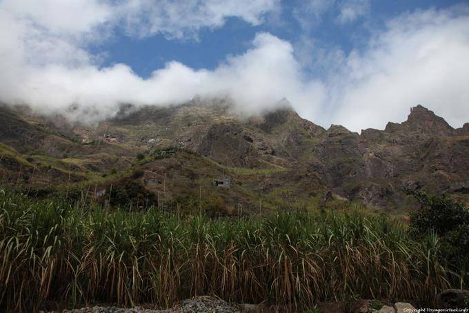 Santo Antão, Paúl, canna da zucchero montagna - Capo Verde