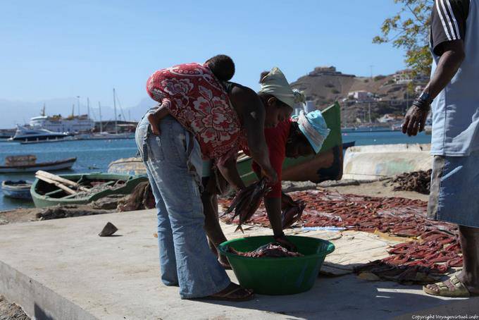 São Vicente, porto di pesca Mindelo, trio di pesce - Capo Verde
