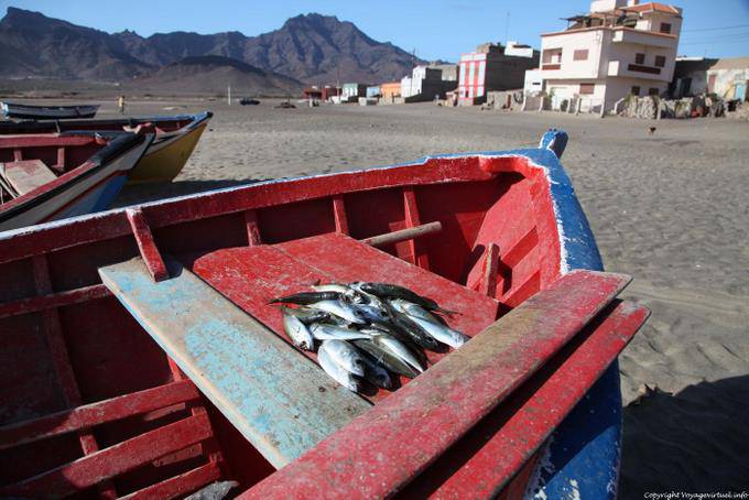 São Vicente, Sao Pedro, bancarella improvvisata indietro pesca - Capo Verde