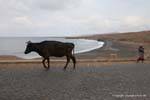 Santiago, la mucca e l'ex, Capo Verde.