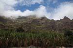Santo Antão, Paúl, canna da zucchero montagna, Capo Verde.