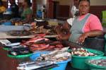 Vendita di pesce in São Vicente, mercado de Peixe Mindelo, Capo Verde.