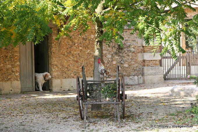 Cane, gallo e carro a Hameau de la Reine, Versailles