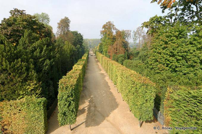 Bacco vialetto e Saturn, Versailles