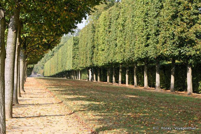 Il vialetto di Bacco e Saturno, Versailles