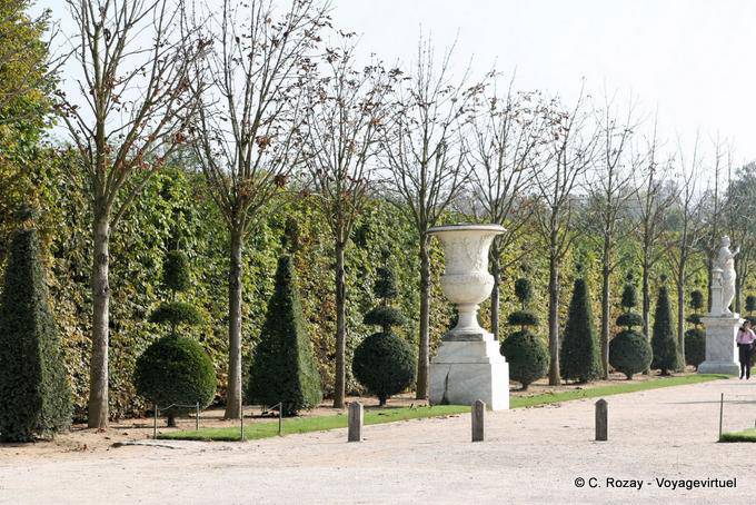 Parco, costituito andato con topiaries, Versailles