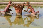 Stagno di riconoscere, Versailles