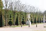 Parco, costituito andato con topiaries, Versailles